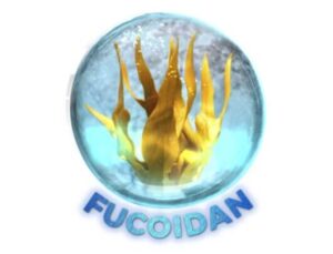 Fucoidan là một hợp chất siêu nhờn chiết xuất từ tảo nâu wakame (Undaria pinnatifida)